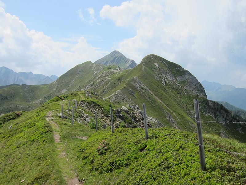 salzkofel